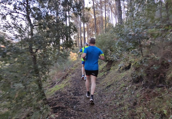 Pictures taken on the run, showing narrow paths, pine-strewn ground and views over the valley