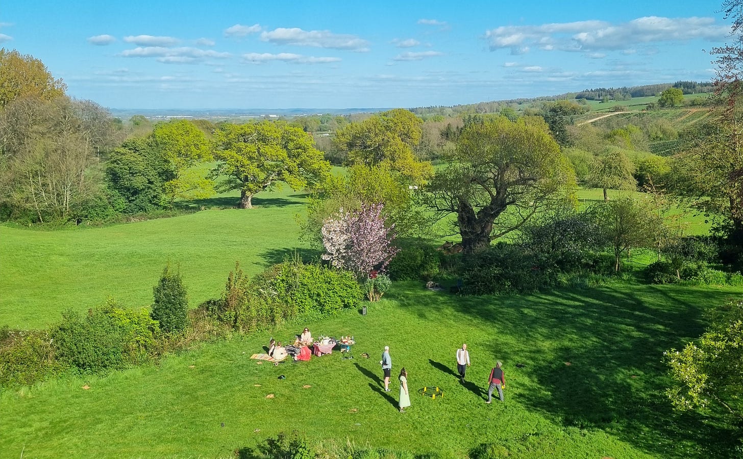 Friends play games and having a picnic in a garden. The scene looks out onto fields and big oak trees.