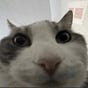 rachida data™️'s avatar