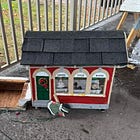 Letter: Festival of Northern Lights Battling Persistent & Unprecedented Vandalism