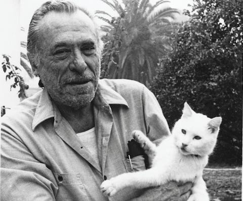 The Love for Cats and Writing of Charles Bukowski | by Three Cats Meows |  Medium