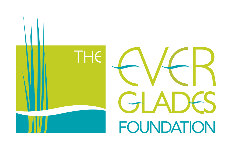 The Everglades Foundation | Everglades Restoration | United States |  Everglades