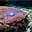 Ron Wobbegong's avatar