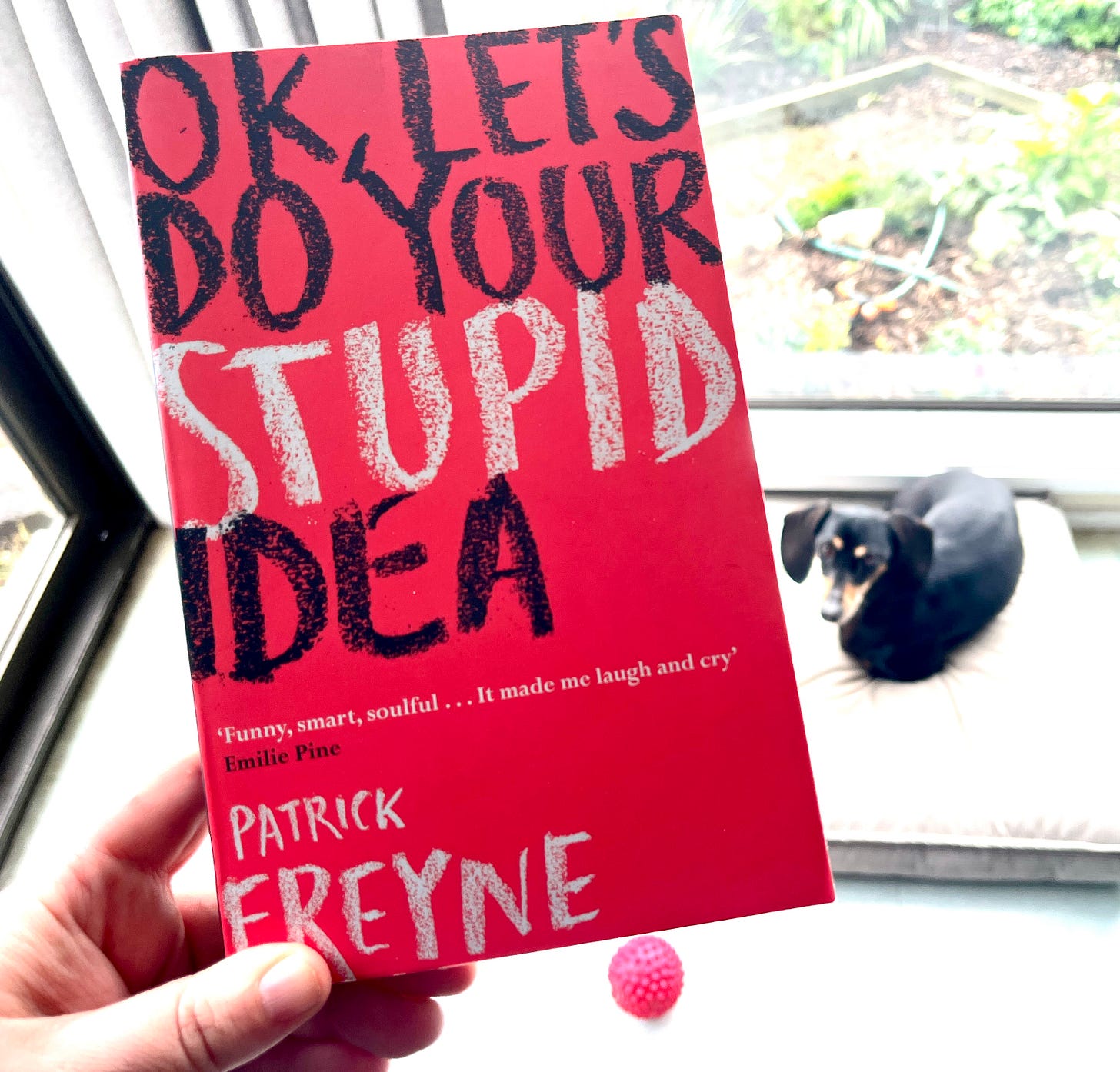 In the foreground a hand holds a book titled OK, Let's Do Your Stupid Idea, by Patrick Freyne. In the background a dachshund is blurry In the foreground a hand holds a book titled OK, Let's Do Your Stupid Idea, by Patrick Freyne. In the background a dachshund is blurry