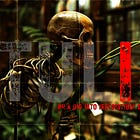 Examining John Calvin’s Doctrine of Irresistible Grace: Societal Impacts and Theological Consequences