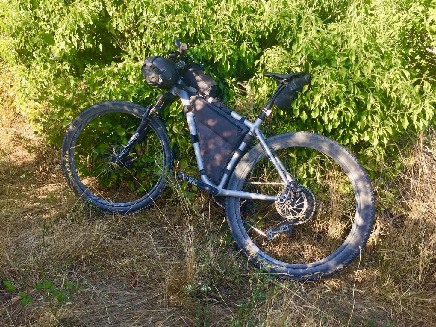 Le Timberjack Le Timberjack