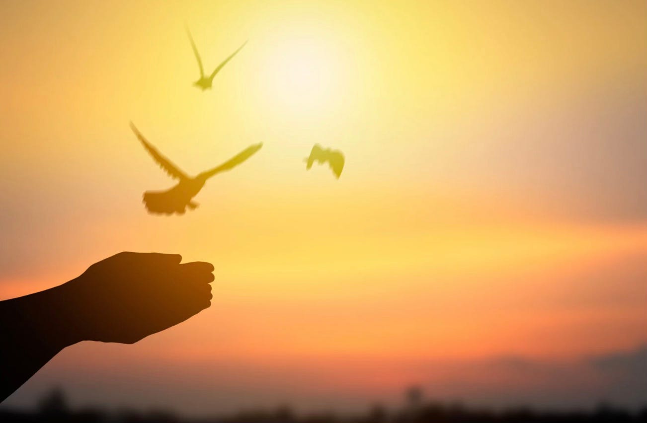 Hands raised to sunrise birds flying in sky