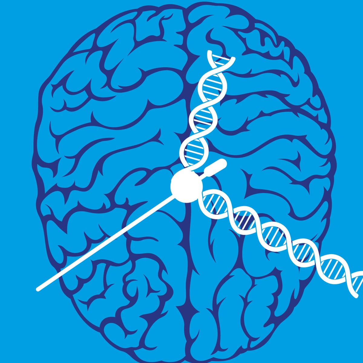 Epigenetics, the misunderstood science that could shed new light on ageing  | Genetics | The Guardian