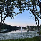 The Art of Letting Go