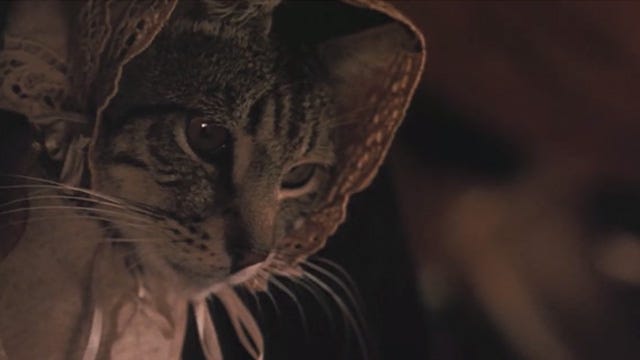 Little Women (1994) - Cinema Cats