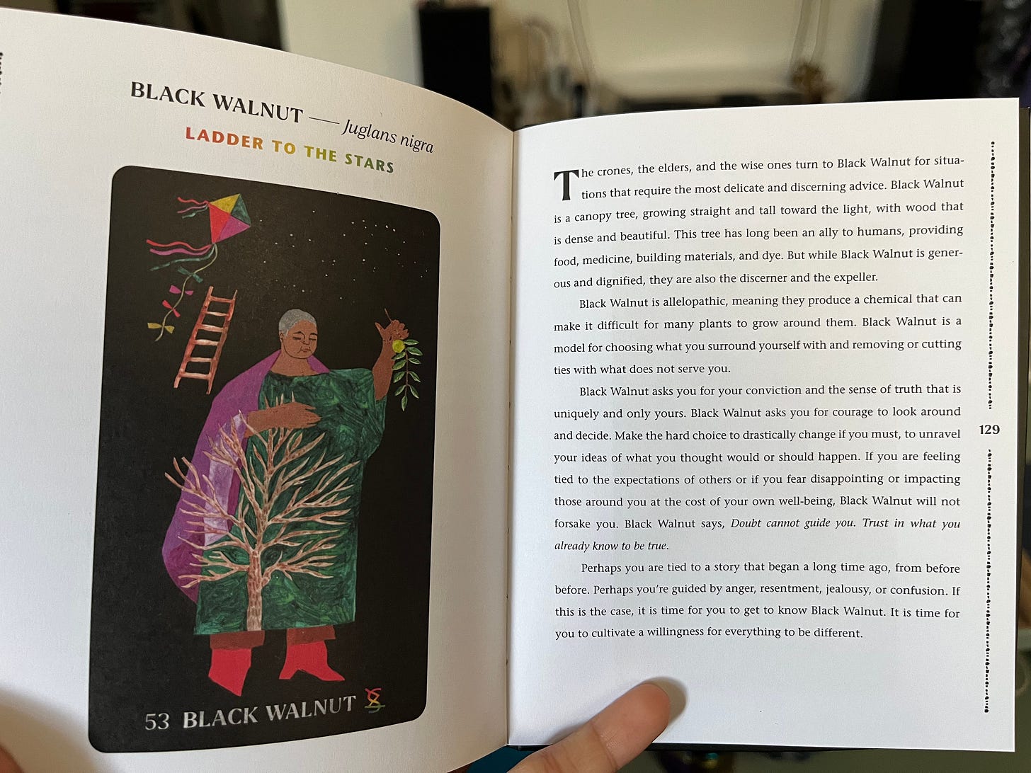 The Black Walnut card and description in the Dirt Gems guidebook