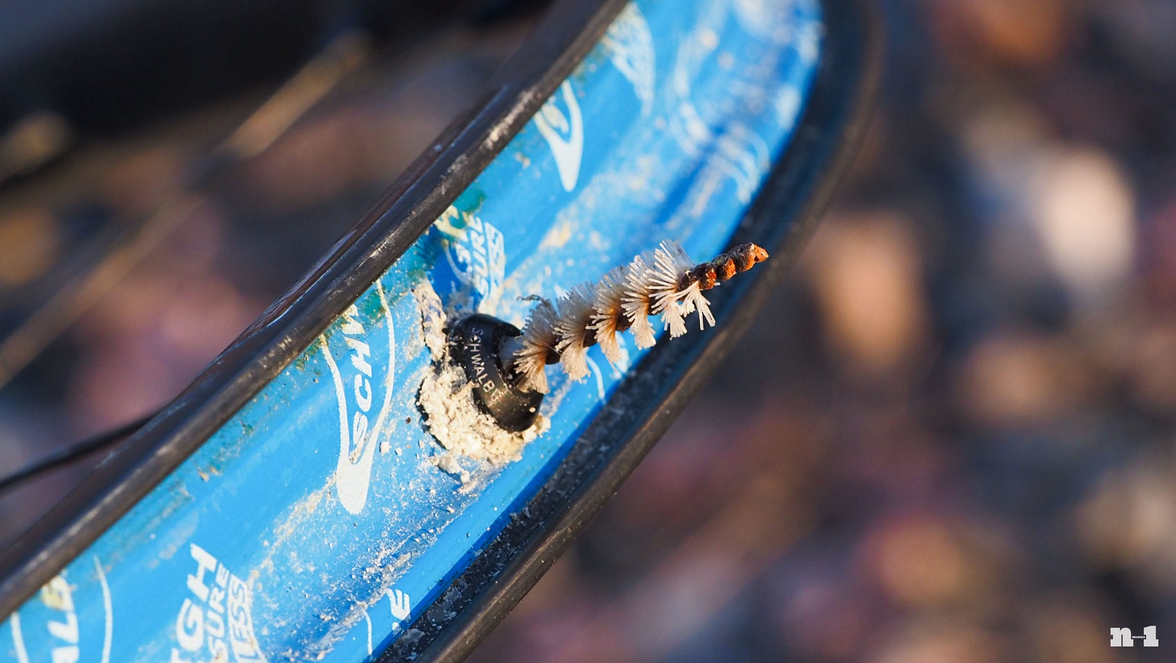 Brush to clean tubeless valve stem