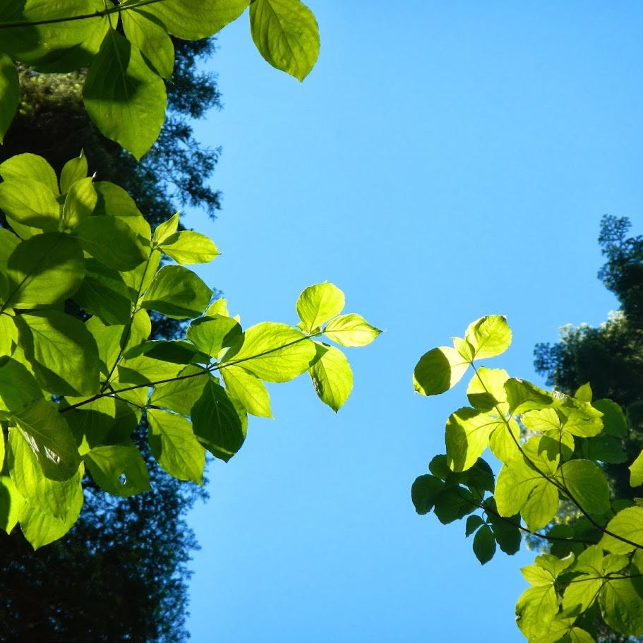 How We Get Through This