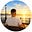 ResiliAnt's avatar