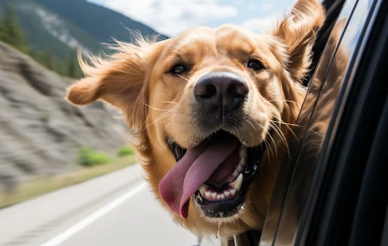 A dog sticking its tongue out of a car window
AI-generated content may be incorrect. A dog sticking its tongue out of a car window
AI-generated content may be incorrect.