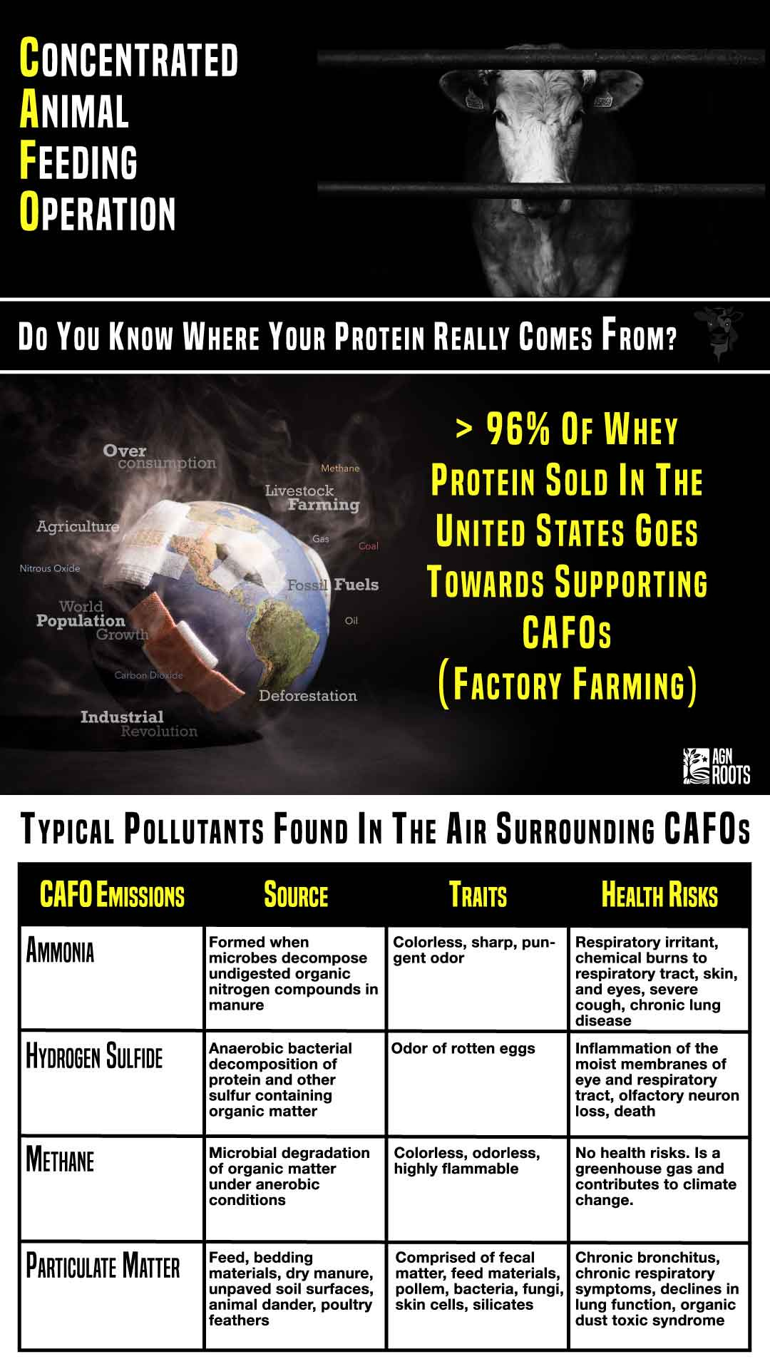 What Does CAFO Mean? AGN Roots Grass-Fed Whey What Does CAFO Mean? AGN Roots Grass-Fed Whey