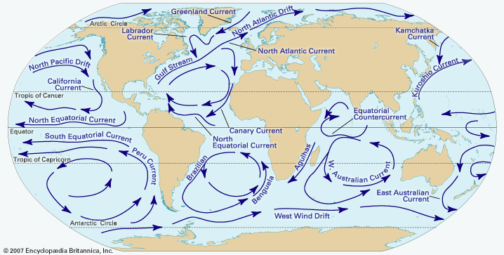 https://cdn.britannica.com/57/70057-004-85830DA6/surface-currents-world-oceans-amounts-Subsurface-water.jpg https://cdn.britannica.com/57/70057-004-85830DA6/surface-currents-world-oceans-amounts-Subsurface-water.jpg