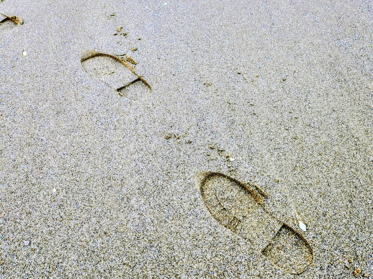 Footsteps in wet sand