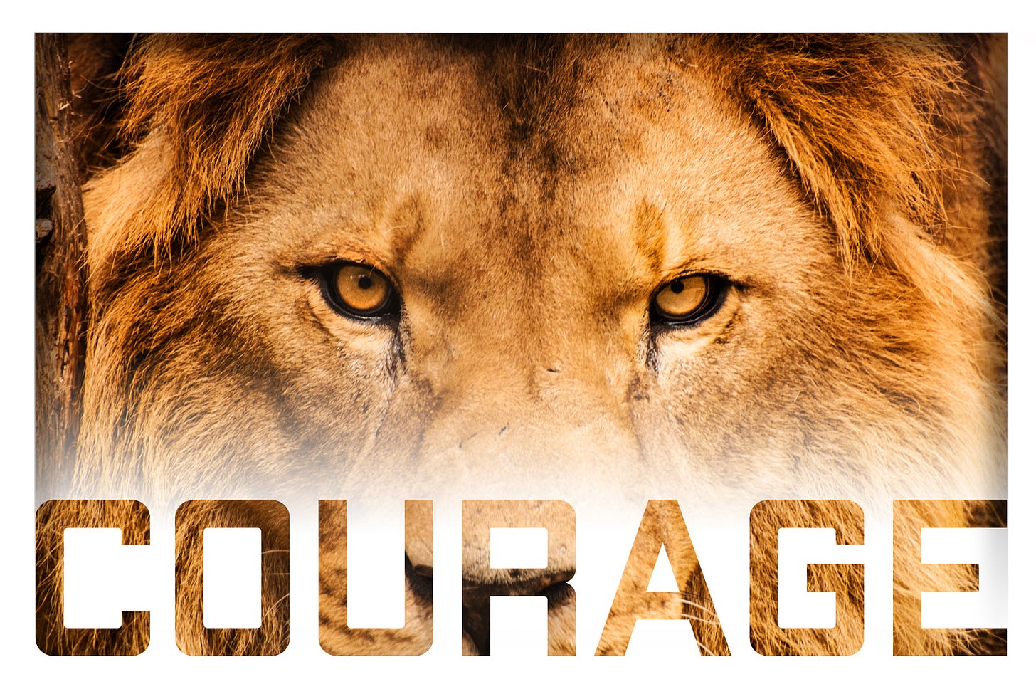 Lion-Hearted Courage - Community Baptist Church- Independent, Bible ...