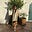 Justine Liu Fitzgerald's avatar
