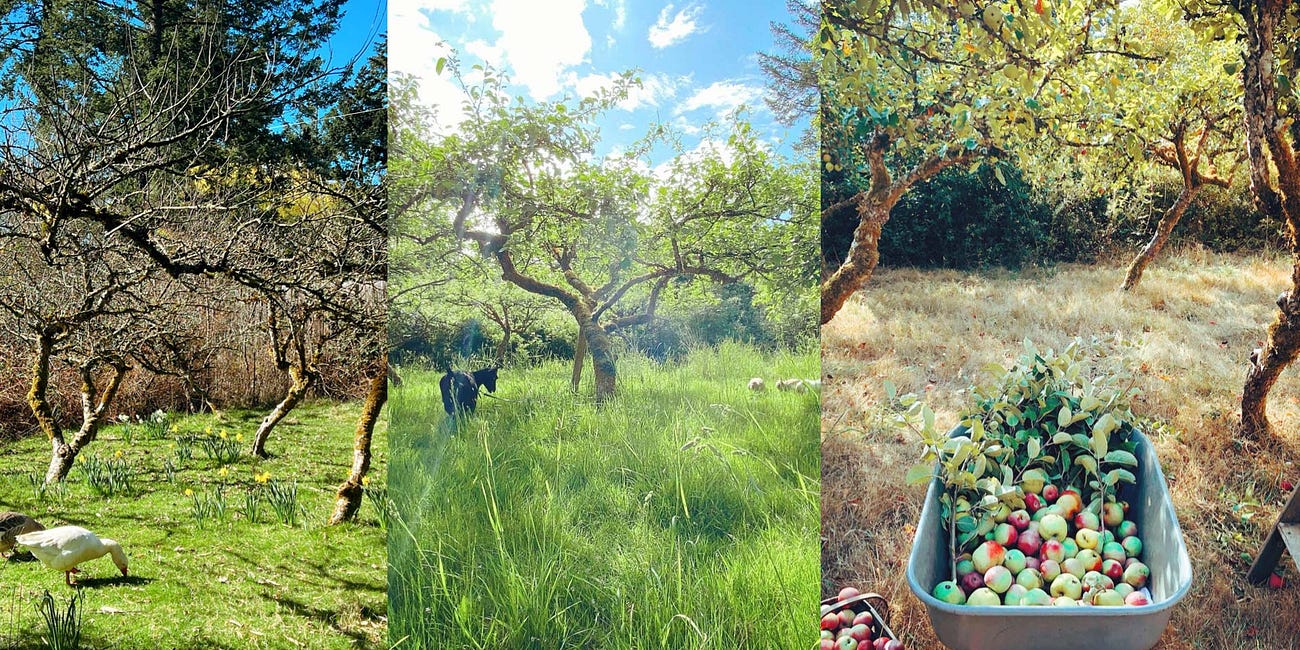 the farm + farmhouse tours