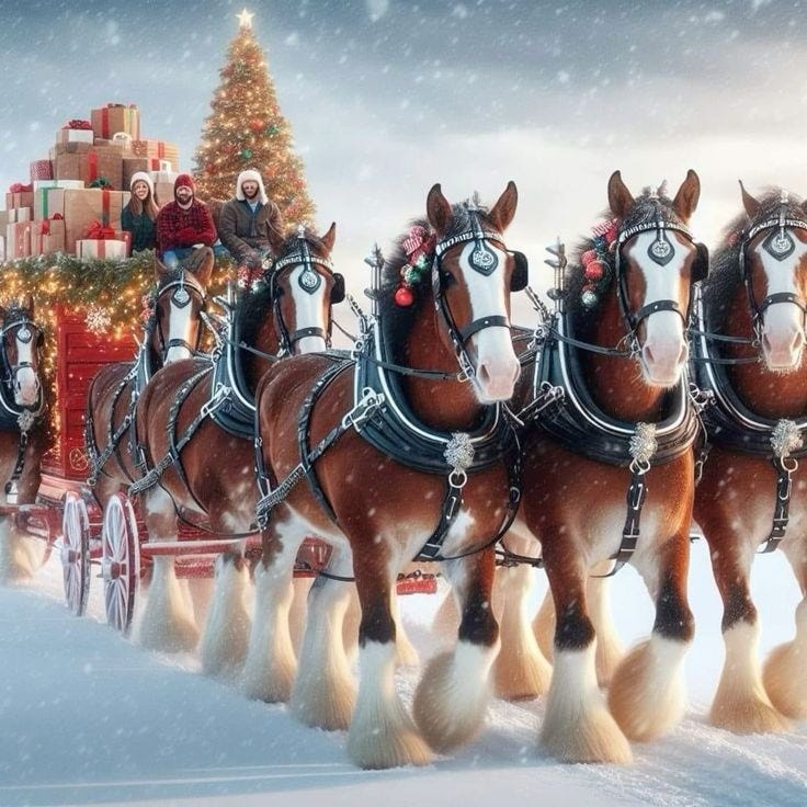 Clydesdale horses Clydesdale horses