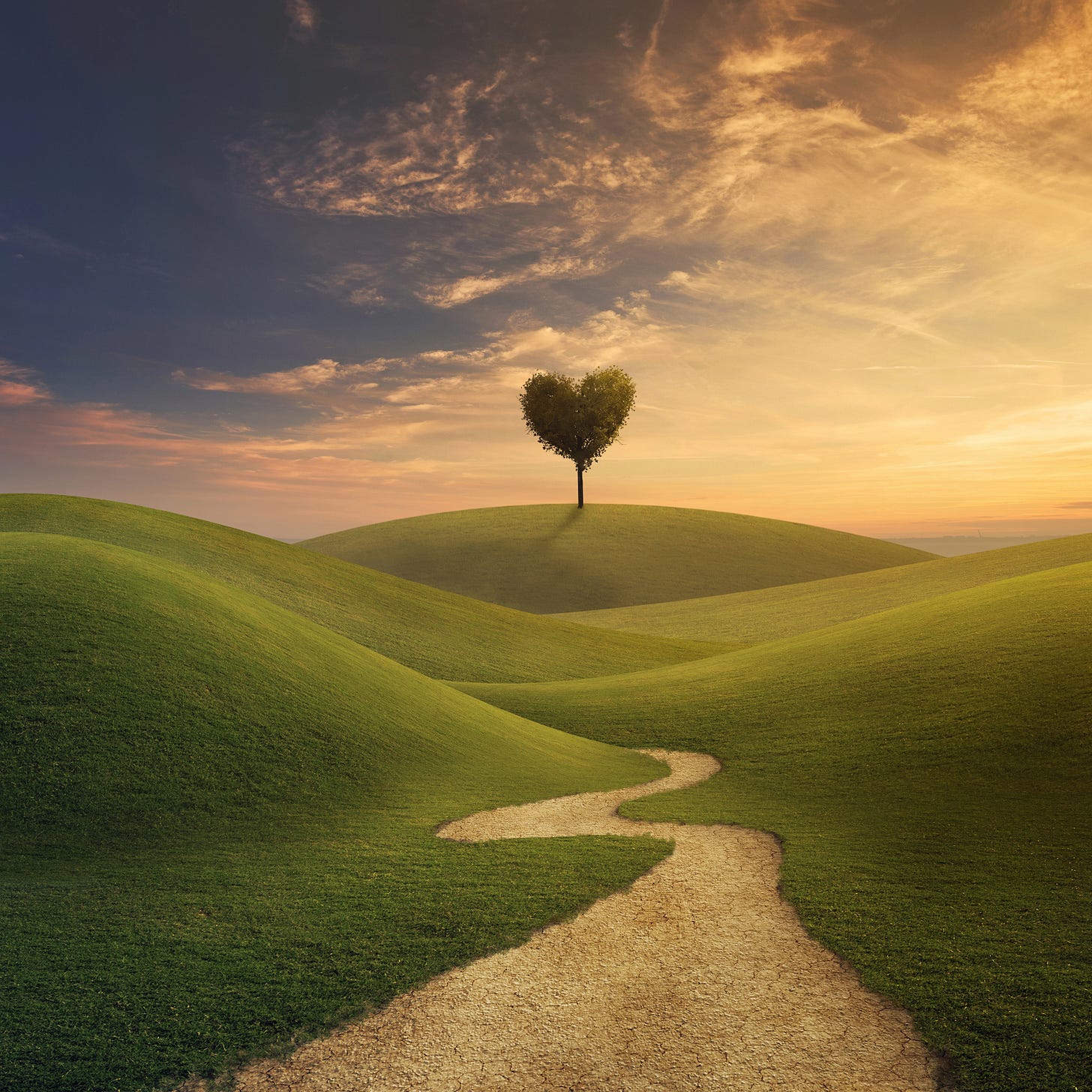 A heart shaped tree in the distance with the path ahead of you with the sun in the distance