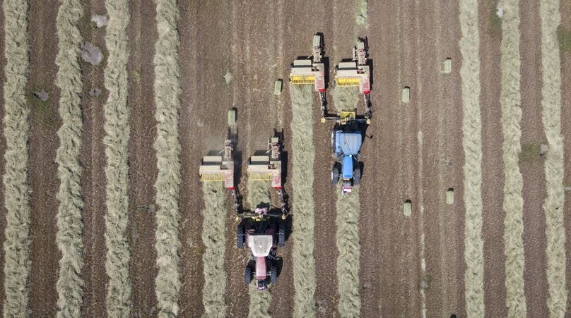 Jeff McIntosh/THE CANADIAN PRESS via AP Jeff McIntosh/THE CANADIAN PRESS via AP
