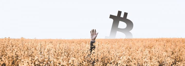 Coin Metrics report: More than 1.6 million Bitcoins are lost forever Coin Metrics report: More than 1.6 million Bitcoins are lost forever