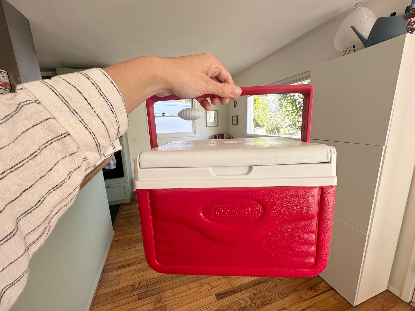 hand holding a small, red cooler