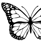 Re: Oil/Macro-This Butterfly Has Big Wings.