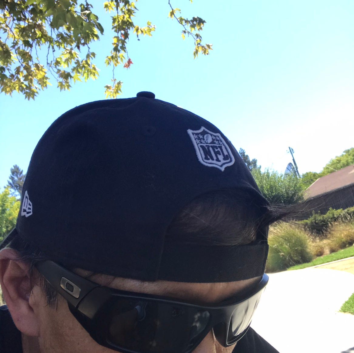 PostPlandemicChronicles