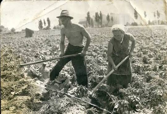 File:Bolgárkertészet, Nyíregyháza 1940-es évek.jpg - Wikimedia Commons File:Bolgárkertészet, Nyíregyháza 1940-es évek.jpg - Wikimedia Commons