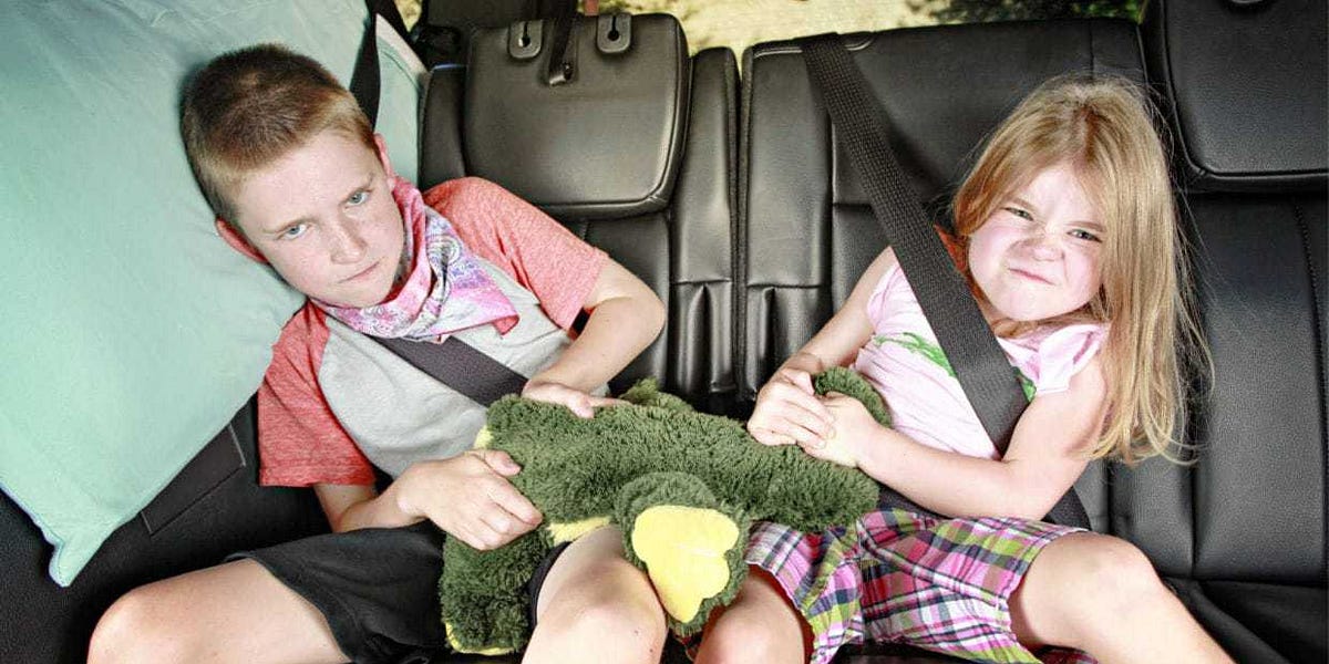 Left Vs Right As Bickering Backseat Kids