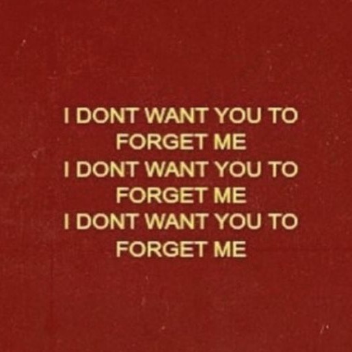 This may contain: a red book with the words, i don't want you to forget me