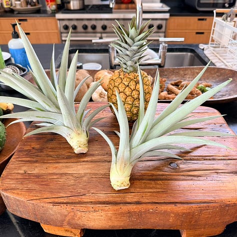 fruit from kauai