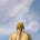 Alexonomics's avatar