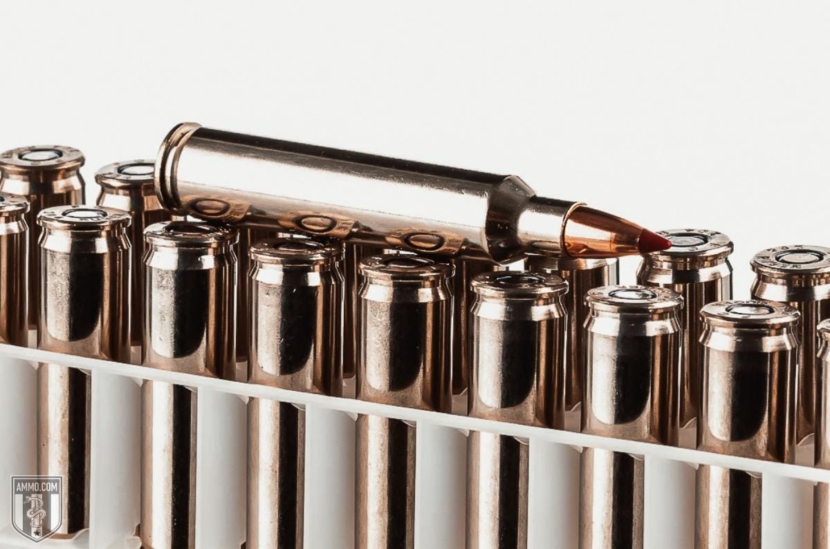 204 Ruger ammo for sale
