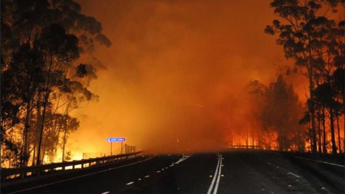 Driving down the main road, Wandadnian on Princes Highway/A1 during one of the bushfire surges in 2020. Image by Vanessa Hartley. 