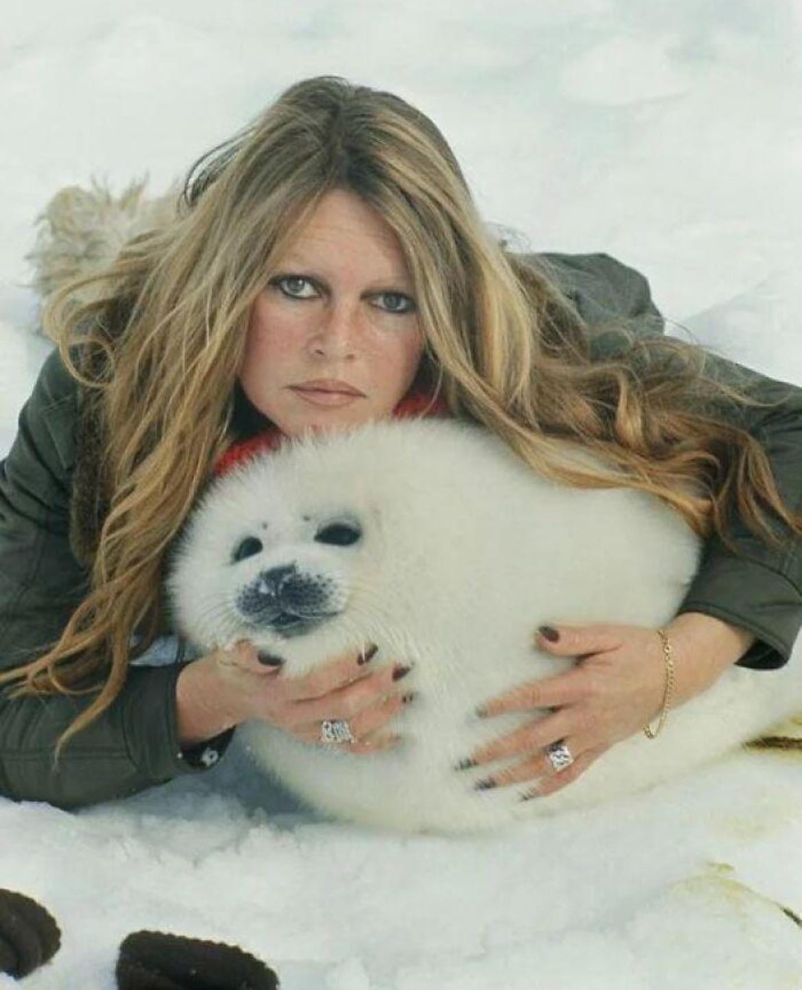 Brigitte Bardot Chose Animals Over Applause