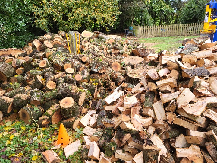 7 images. 1: ash trees lush with growth. 2: huge woodpile of wood rings. 3: Joe, wearing safety glasses, standing beside the wood splitter. 4: a lot done, a lot more to do 5: same space cleared of most logs except for huge wood rings which have been split by a chain saw. 5: 'The Igloo'. 6: homely woodburning stove, with with warm fire burning.