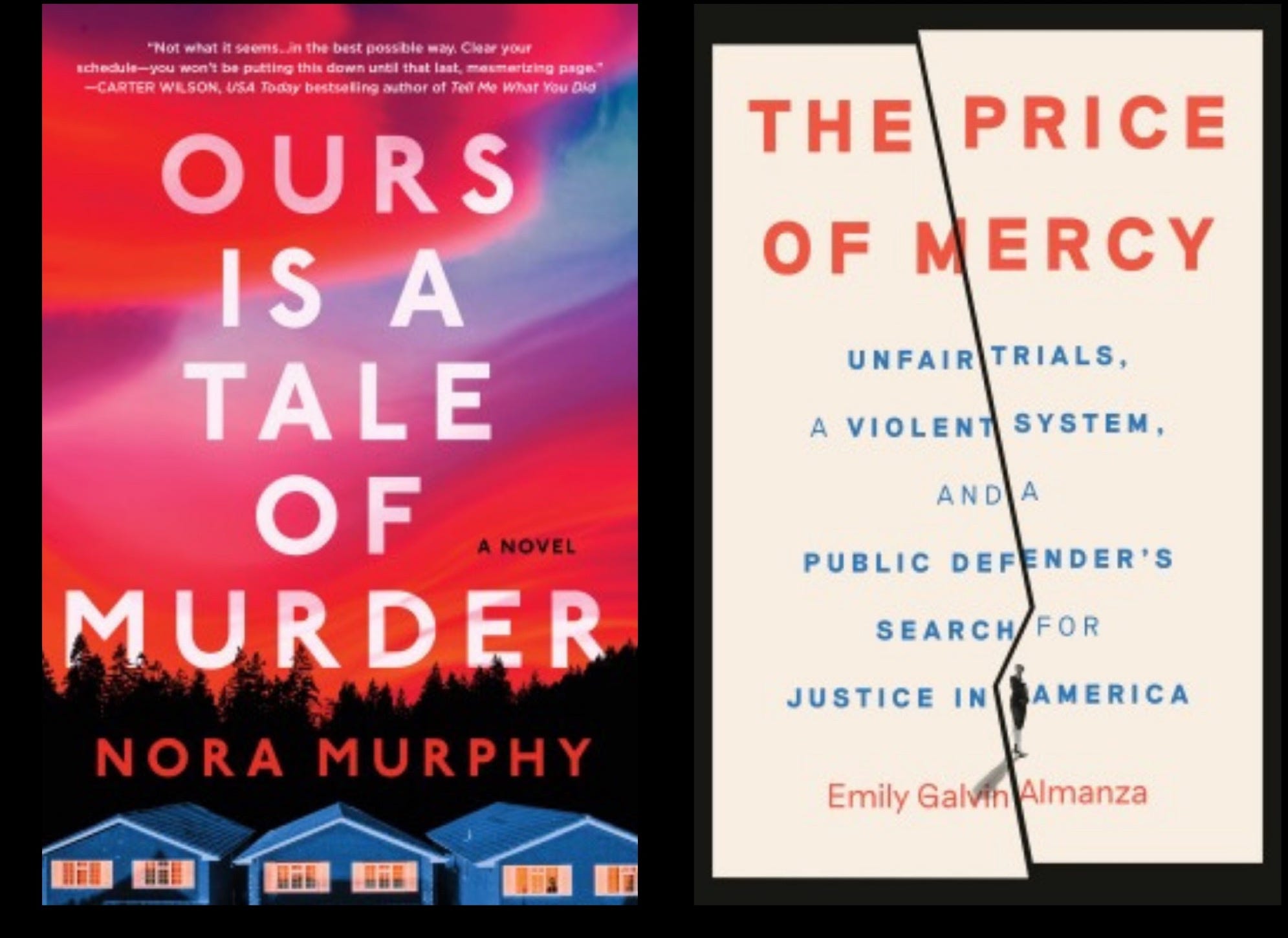 January Reads & More - by Renee - ItsBookTalk
