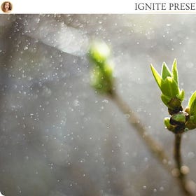 What To Do When You’ve Outgrown Your Environment