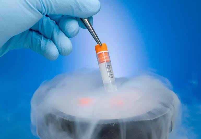 What To Know About Freezing Your Eggs What To Know About Freezing Your Eggs