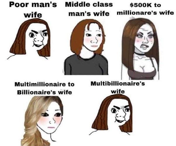 The image is a meme featuring five caricatured depictions of women, each labeled to represent different socio-economic classes based on their husbands' wealth. From left to right, the labels are: 'Poor man's wife', 'Middle class man's wife', '$500K to millionaire's wife', 'Multimillionaire to Billionaire's wife', and 'Multibillionaire's wife'. Each caricature exaggerates facial expressions and attire to humorously stereotype the perceived characteristics of women in these different economic brackets. The meme is a reply to a tweet by @catturd2, referencing Anthony Weiner's ex-wife, suggesting a commentary on the quality of relationships at different wealth levels. The context provided by the original post text adds a layer of satire, implying that even immense wealth does not guarantee a 'better' partner. The image is a meme featuring five caricatured depictions of women, each labeled to represent different socio-economic classes based on their husbands' wealth. From left to right, the labels are: 'Poor man's wife', 'Middle class man's wife', '$500K to millionaire's wife', 'Multimillionaire to Billionaire's wife', and 'Multibillionaire's wife'. Each caricature exaggerates facial expressions and attire to humorously stereotype the perceived characteristics of women in these different economic brackets. The meme is a reply to a tweet by @catturd2, referencing Anthony Weiner's ex-wife, suggesting a commentary on the quality of relationships at different wealth levels. The context provided by the original post text adds a layer of satire, implying that even immense wealth does not guarantee a 'better' partner.
