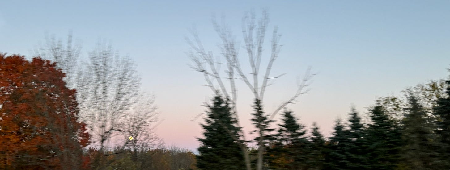 A blurry photo of fall foliage taken at sunset. A blurry photo of fall foliage taken at sunset.