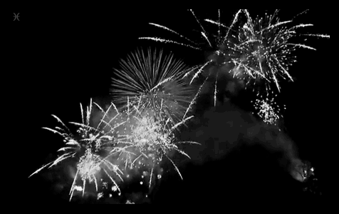 Free Animated Fireworks Gif