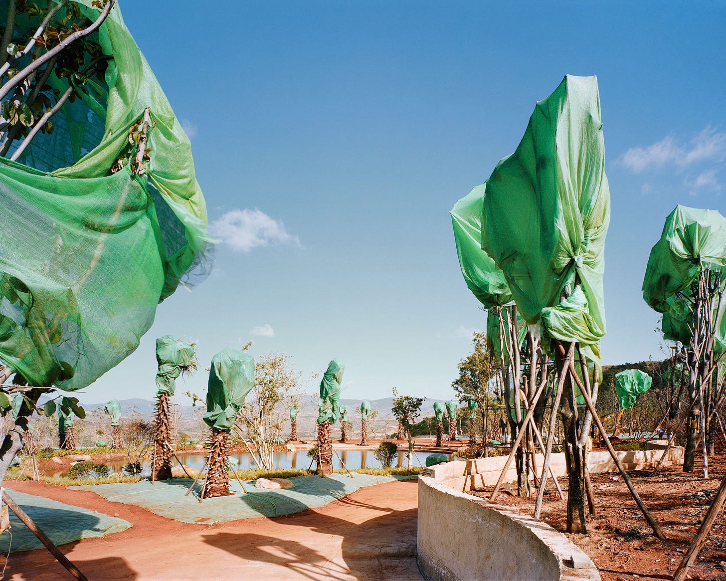 A northern forest construction site in 2017.
