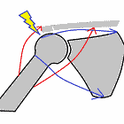 Why haven't you seen your own xrays?