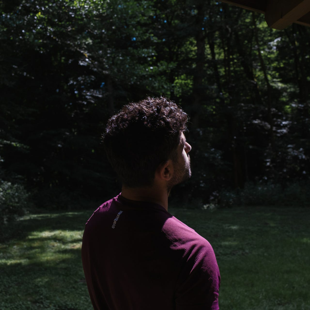 Closer than the Vein